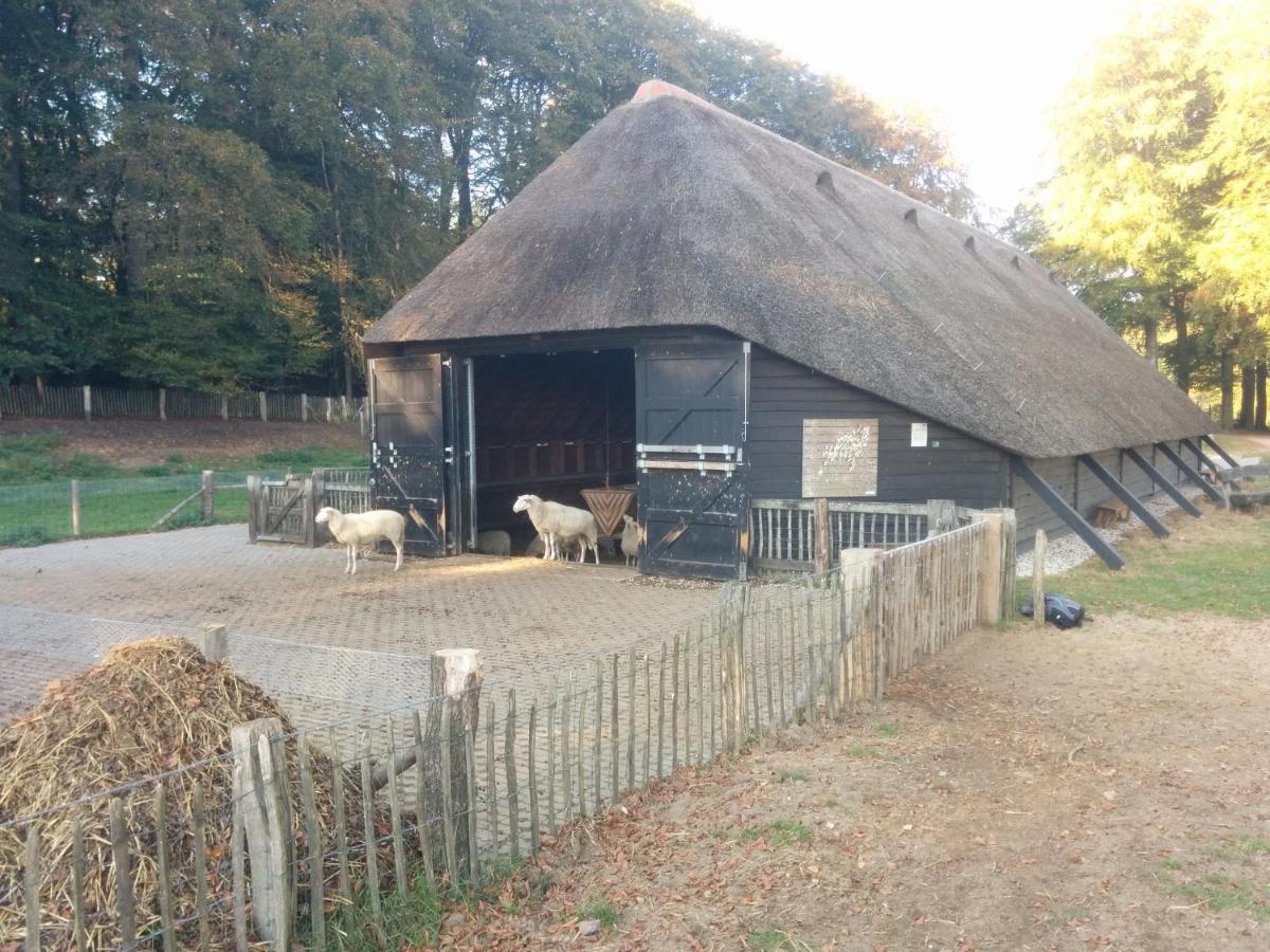 Chalet Hoenderloo Beuk Exteriör bild