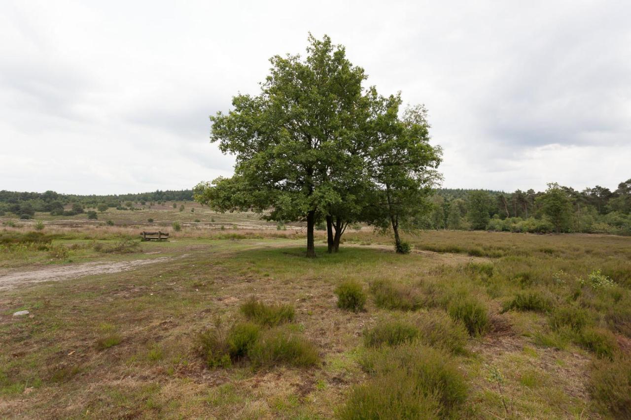Chalet Hoenderloo Beuk Exteriör bild